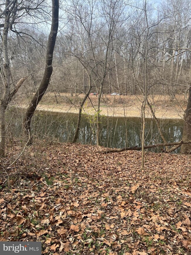 0 Palmyra Church Rd unit VASH2004984, Edinburg, VA 22824 - photo 4