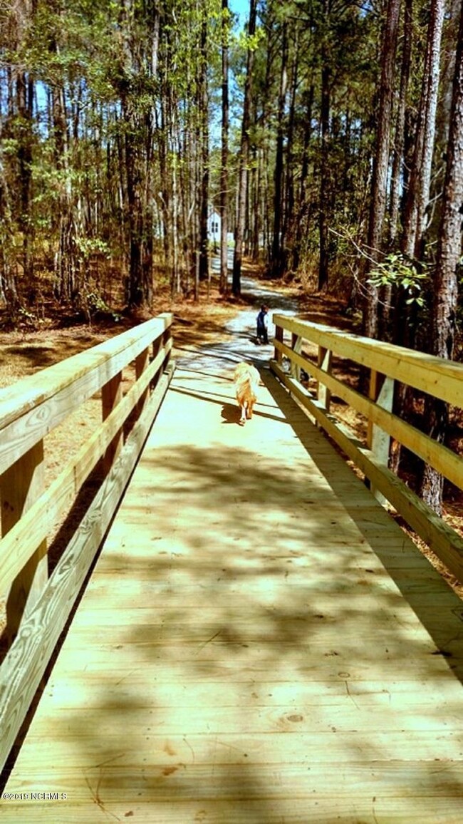 Boardwalk