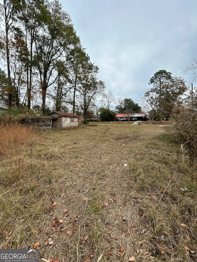 0 Center Ave, McRae, GA 31055 - photo 7