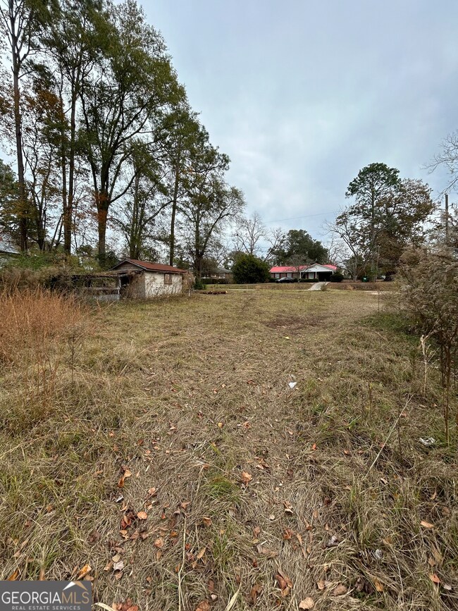 0 Center Ave unit 10648464, McRae, GA 31055 - photo 7