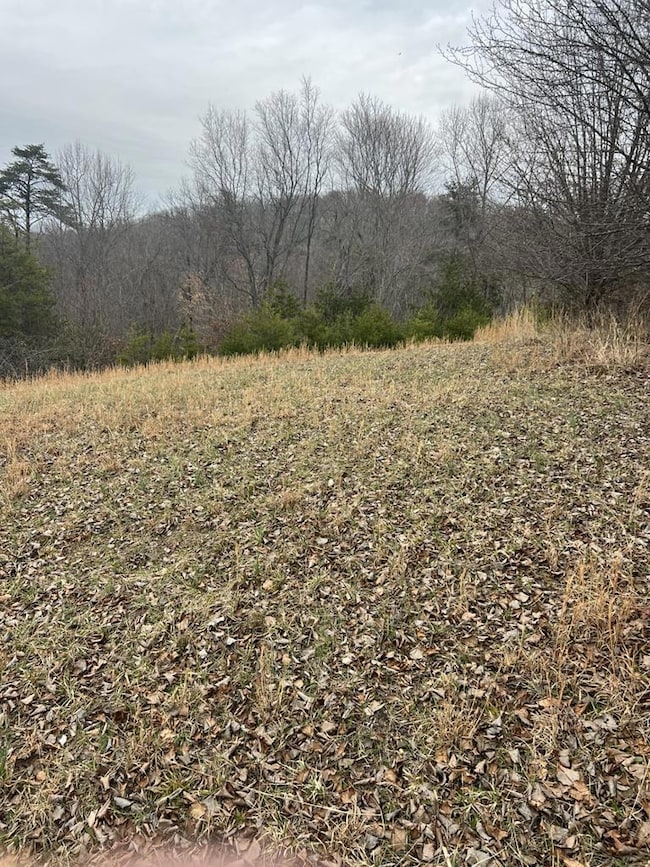 00 Twin Falls Ln, Byrdstown, TN 38549 - photo 3