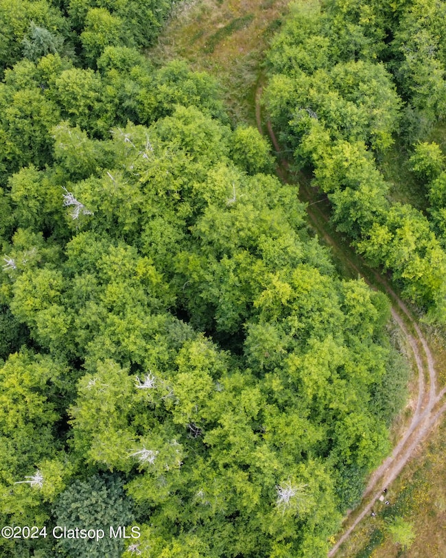 Over view of South home site