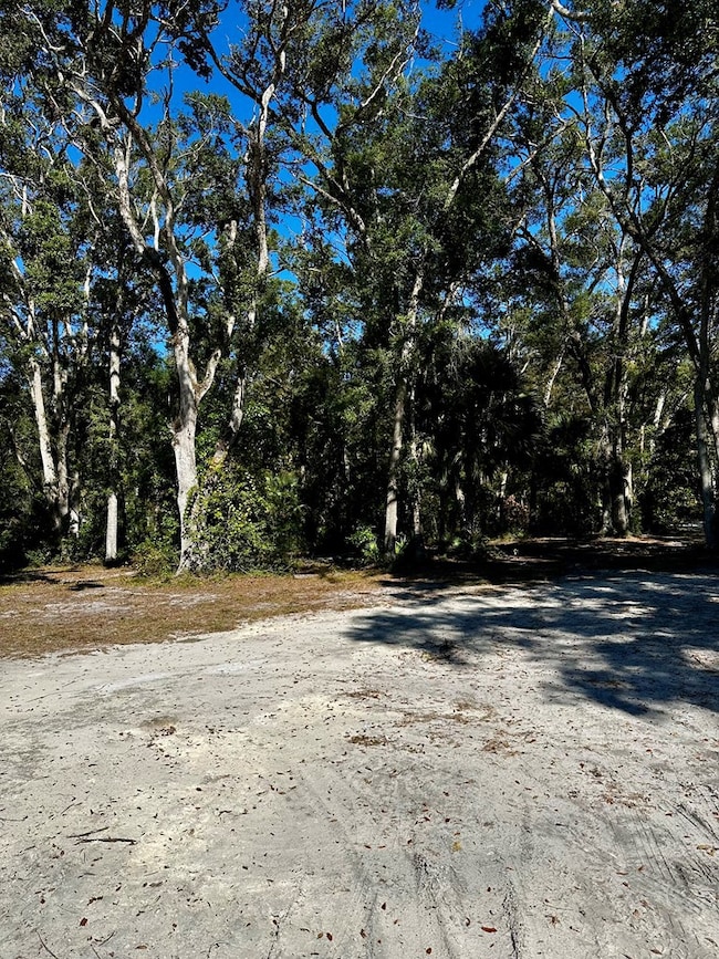 165 NE 368th Ave, Old Town, FL 32680 - photo 6