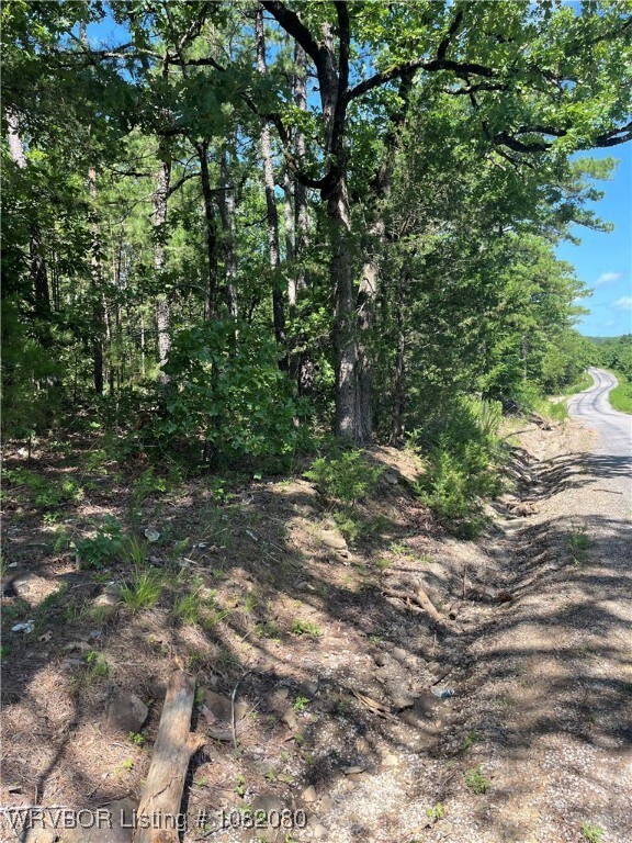 Tract 7 SE 1083rd Ave, Red Oak, OK 74563 - photo 3