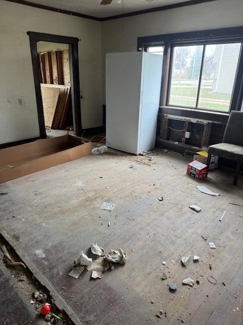 401 Cedar St, Mondamin, IA 51557 - photo 4