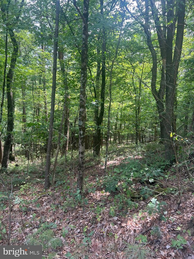 0 Sarah Ln unit VASH2009350, Basye, VA 22810 - photo 4