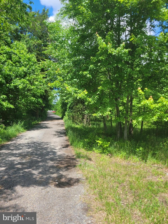 0 Jermaine Place unit MDCH2031998, Waldorf, MD 20603 - photo 5