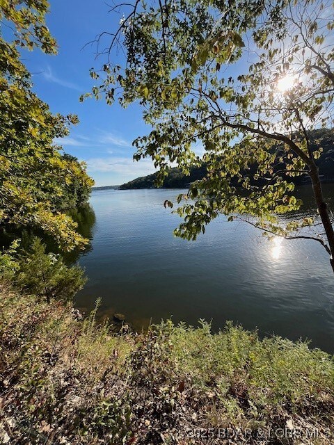 South facing gentle lake lot on a point