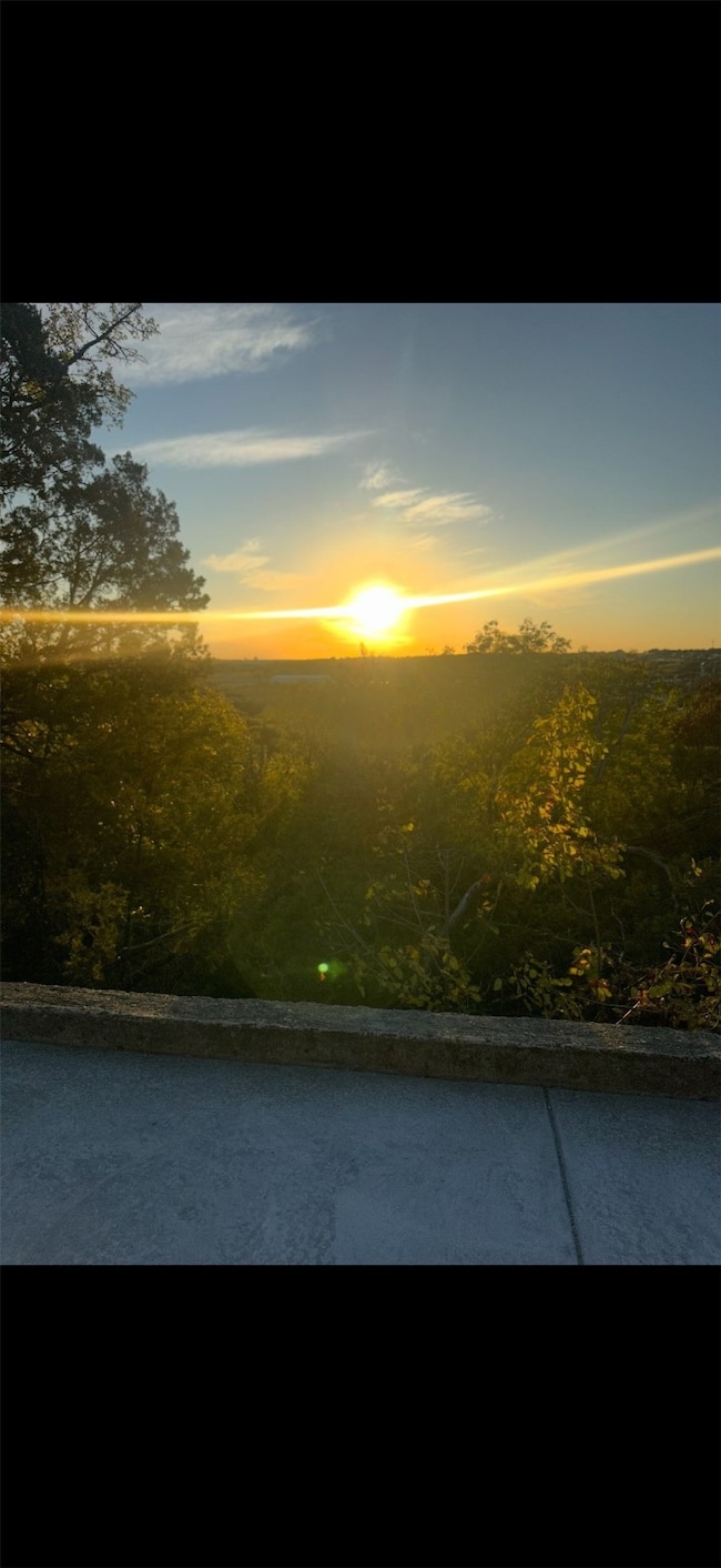 113 Overlook Ct, Cresson, TX 76035 - photo 2