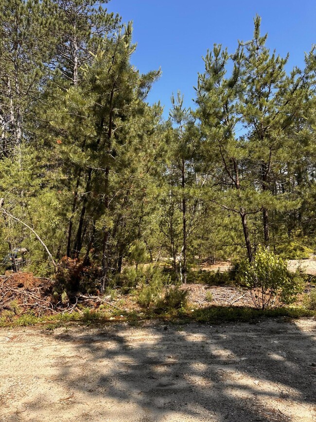 Level Sandy Lot