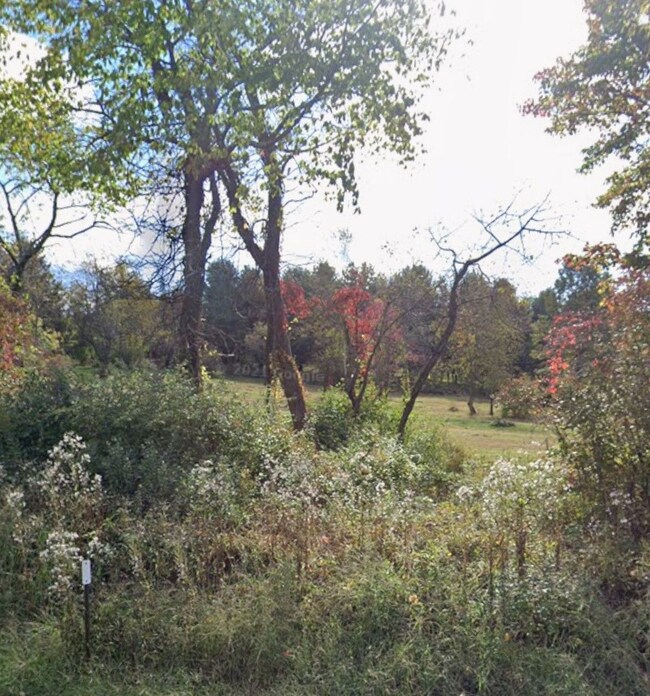 0 Willow Tree Rd, Milton, NY 12547 - photo 7