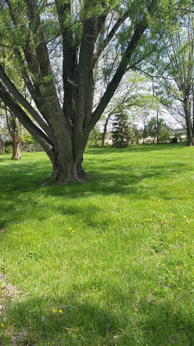 20180509_115412