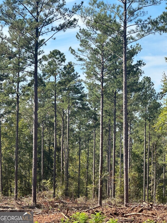 0 Seven Islands Rd unit 10593138, Madison, GA 30650 - photo 5