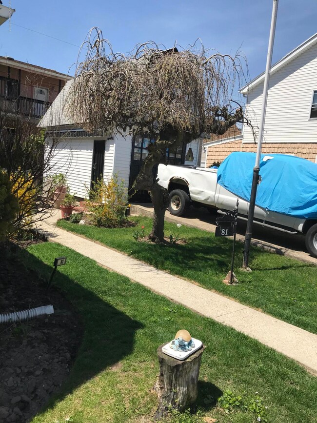 81 Celeste Ct, Brooklyn, NY 11229 - photo 6