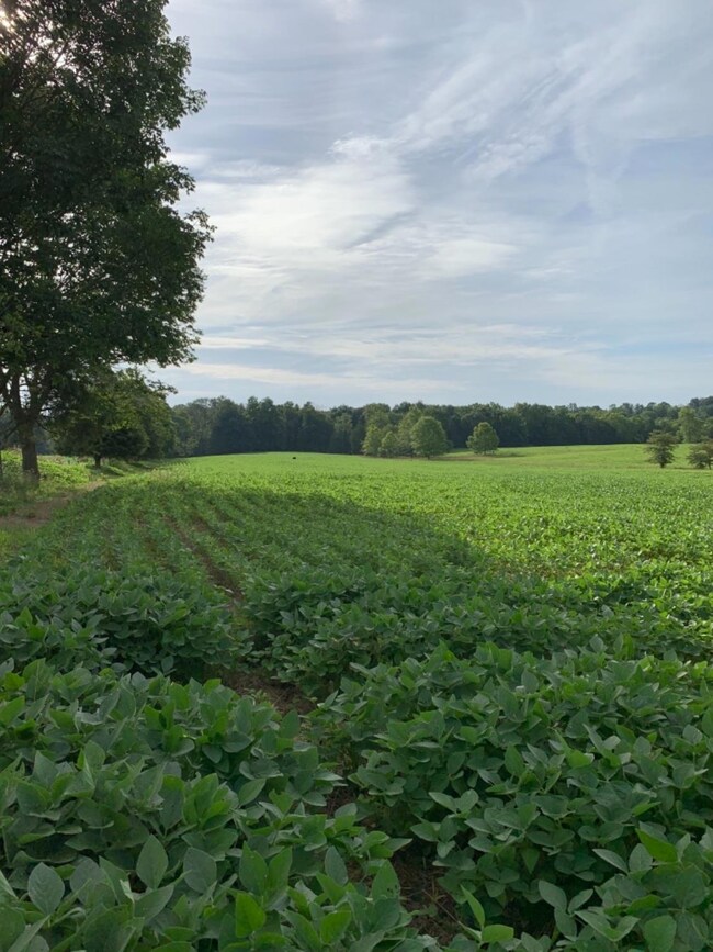 0 Luther Rogers Rd unit 1654849, Tiffin Township, OH 45693 - photo 4