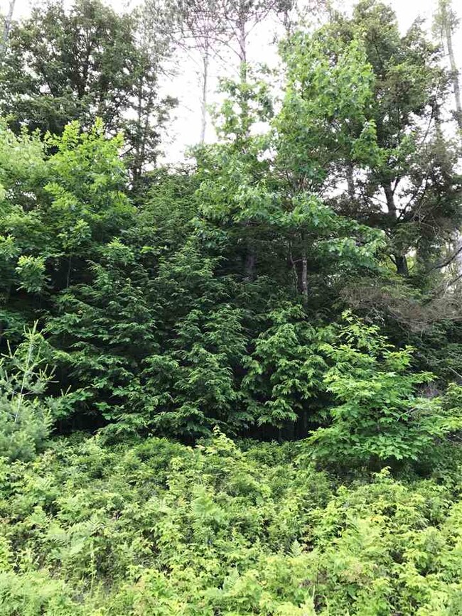 0 Perch Pond Rd unit 4612646, Lisbon, NH 03585 - photo 3