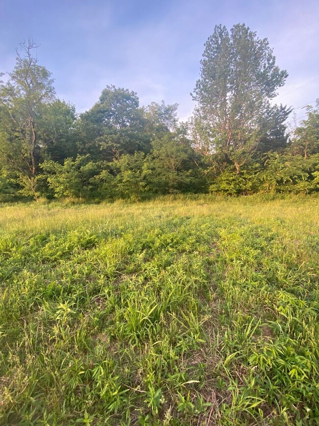5.22 AC Parragon Rd, Cookeville, TN 38506 - photo 4
