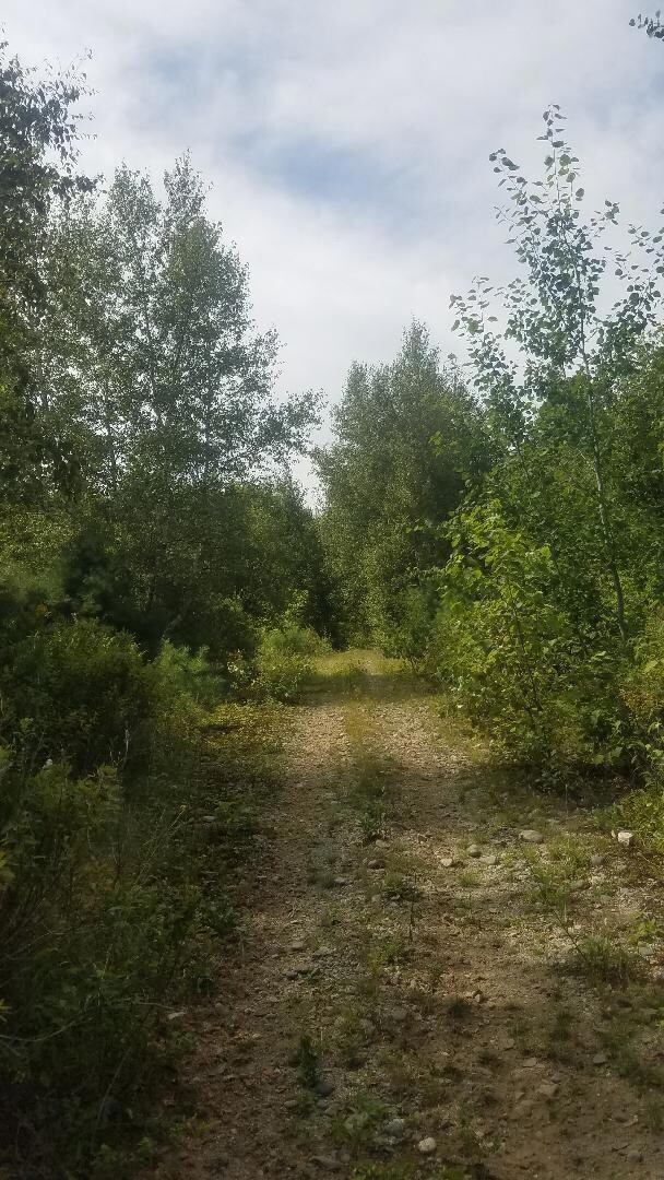 LAND 3