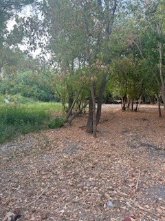 742 Lovers Ln, Houston, TX 77091 - photo 7