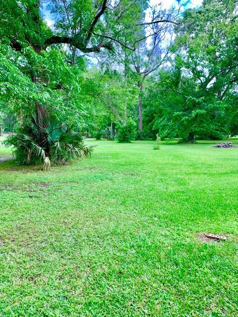 438 County Road 443, Dayton, TX 77535 - photo 7