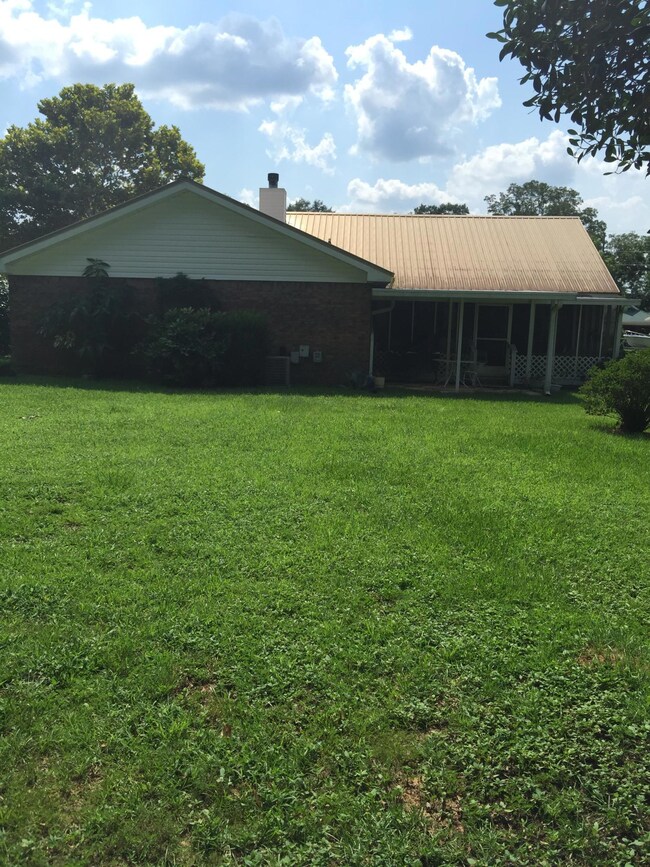 Back yard