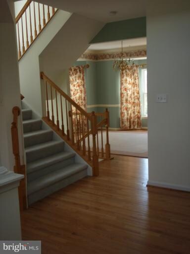 10034 Puritan Way, Damascus, MD 20872 - photo 4