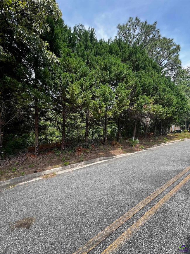 25 & 26 Lot, Warner Robins, GA 31088 - photo 4