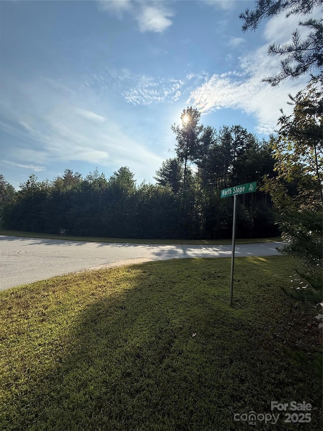 9999 Peninsula Reserve Rd, Nebo, NC 28761 - photo 2