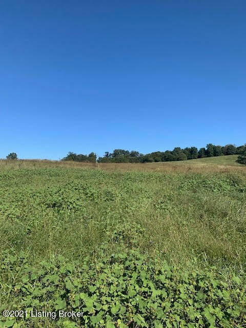 2 Story Ln, Jamestown, KY 42629 - photo 5