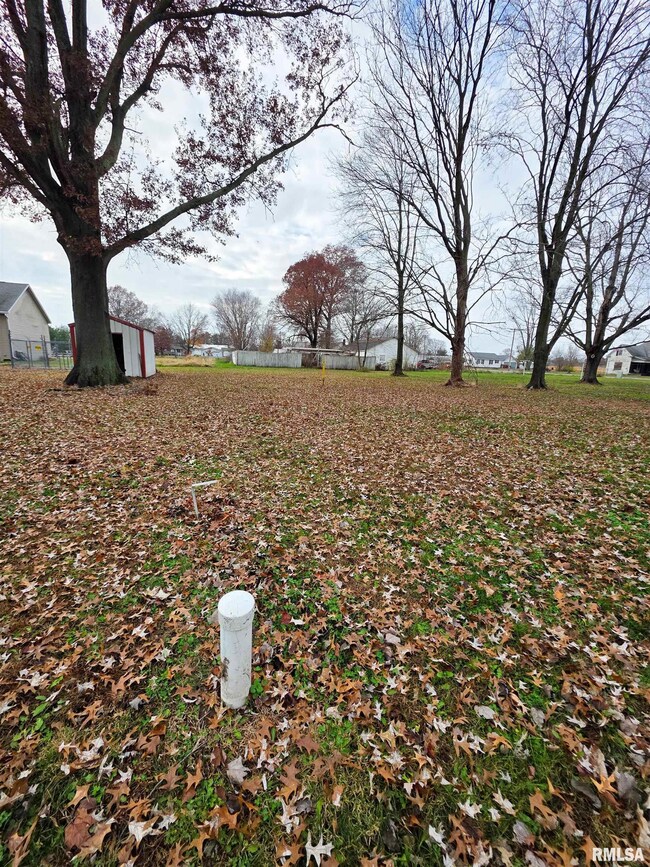 101 S Watkins St, Cisne, IL 62823 - photo 7