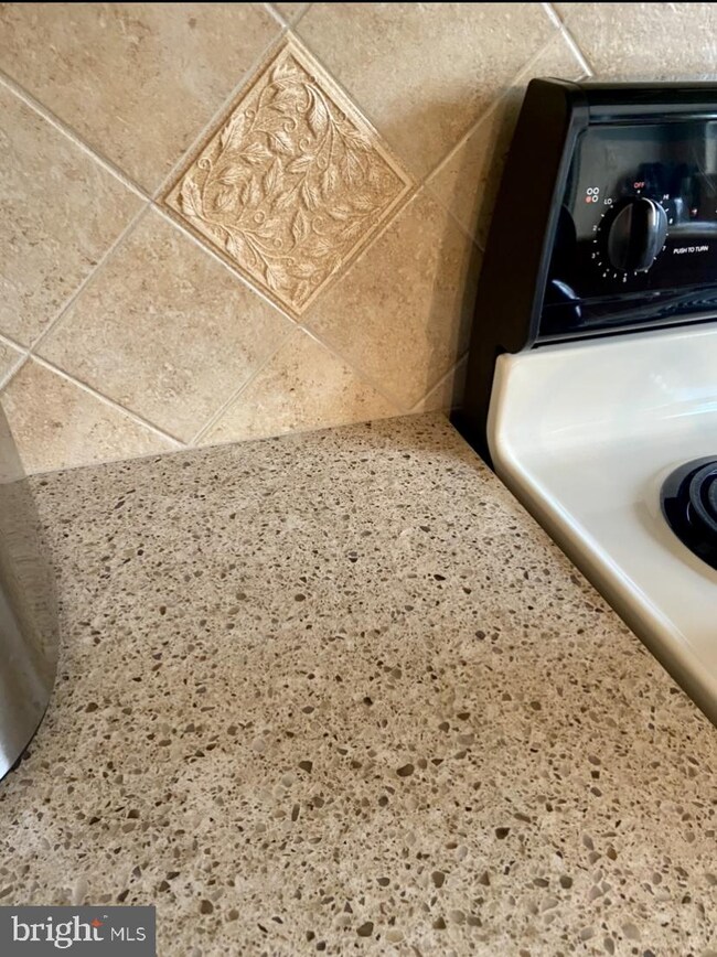 17274 Pickwick Dr, Purcellville, VA 20132 - photo 4