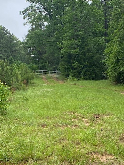 0 Isaac Creek Rd, Homer, LA 71040 - photo 6