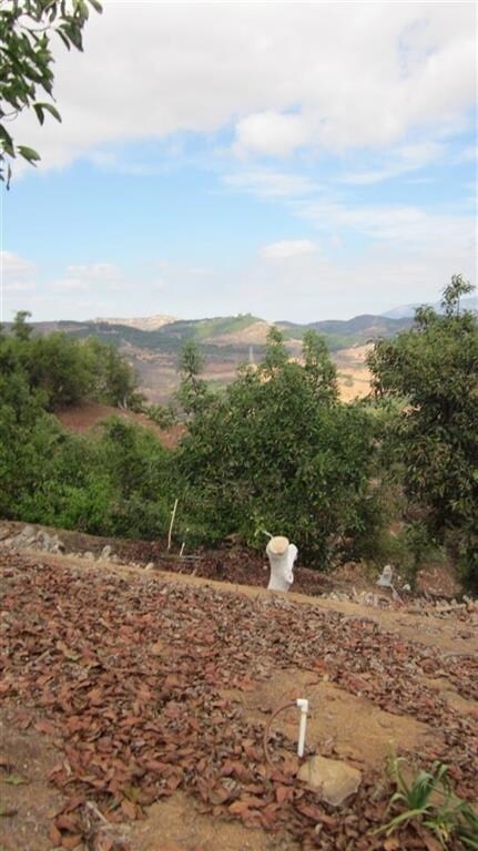 11200 Berry Rd, Valley Center, CA 92082 - photo 6