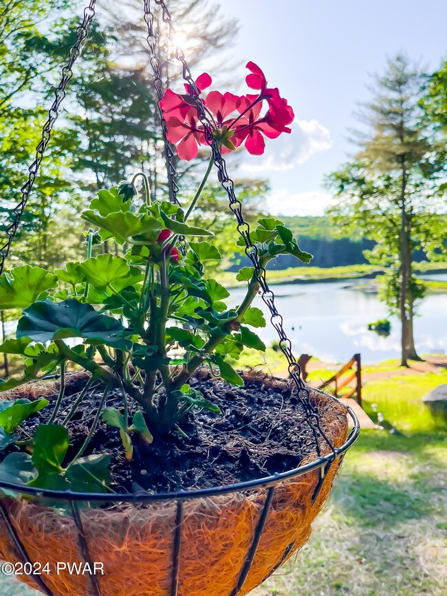 165 Water View Dr, Hawley, PA 18428 - photo 5