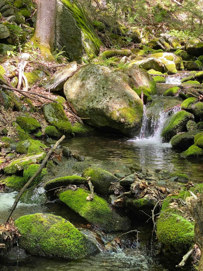 73 Clark Rd, Brattleboro, VT 05301 - photo 4