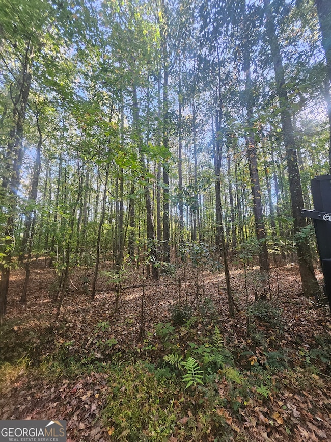 4861 Moon Rd, Powder Springs, GA 30127 - photo 4