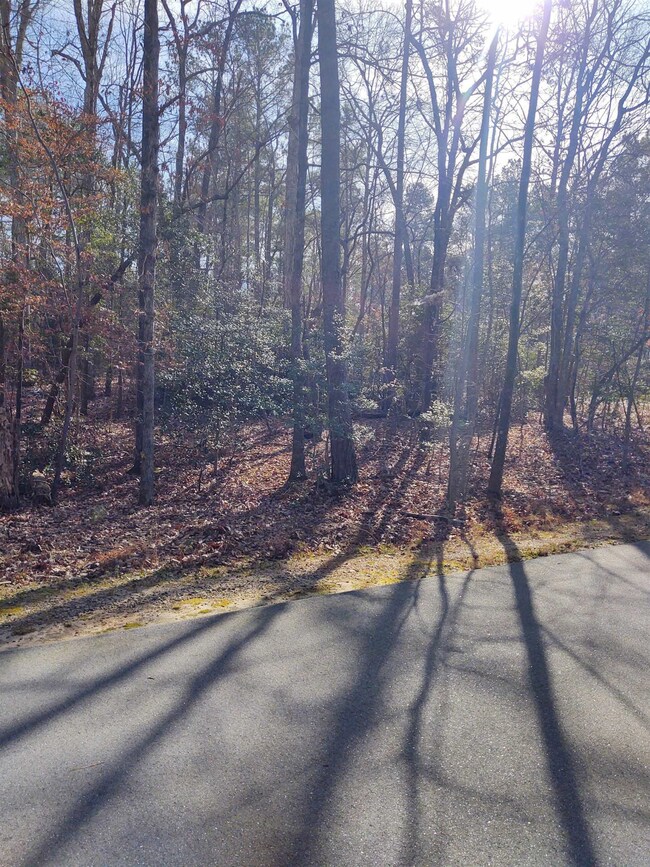 103 Santee Dr, Louisburg, NC 27549 - photo 3