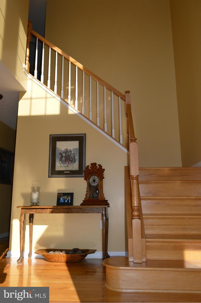 116 Boydton Plank Dr, Stephens City, VA 22655 - photo 7