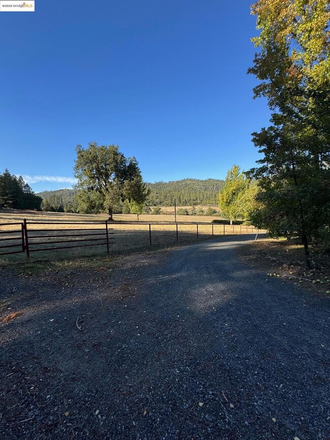 10576 Converse Rd, Coulterville, CA 95311 - photo 6
