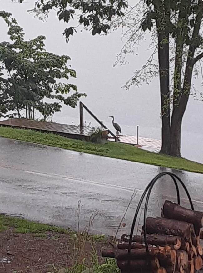 691 Burr Pond Rd, Sudbury, VT 05733 - photo 5