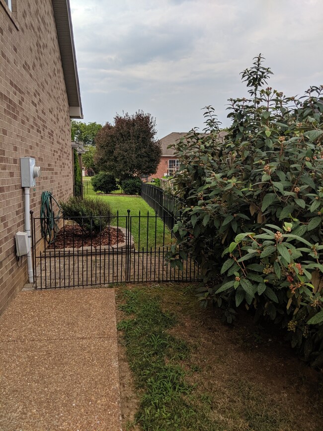 Side entrance with mature landscaping for privacy.