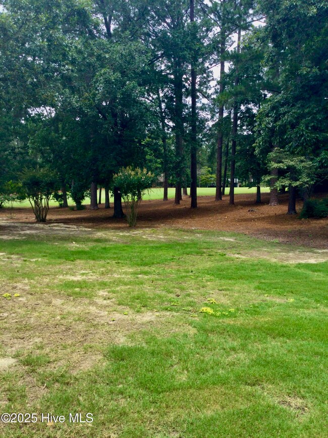 Golf course view