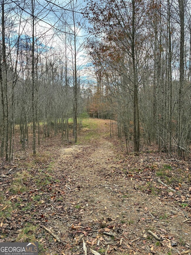0 Yukon Rd unit 10649657, Ellijay, GA 30536 - photo 4