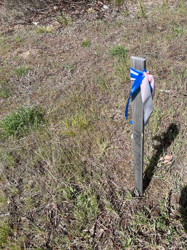 NKA - parcel #2 U S Highway 2, Newport, WA 99156 - photo 5