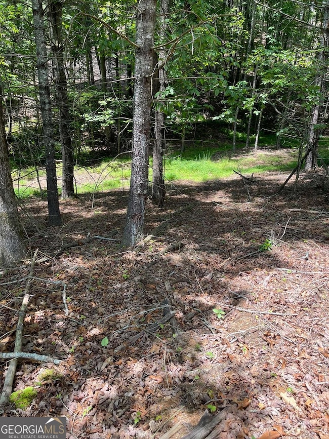 LOT 95 The Ridges, Morganton, GA 30560 - photo 7