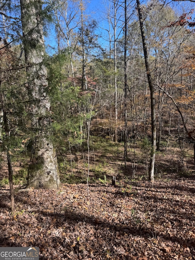 4509 Georgia 18, West Point, GA 31833 - photo 4