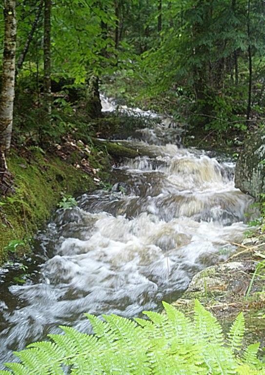 60A-05 Nature's Way, Bridgton, ME 04009 - photo 5