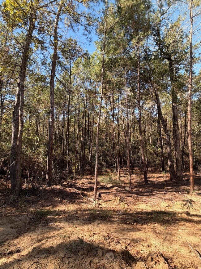 4578 Blue Agave Way, Montgomery, TX 77316 - photo 7