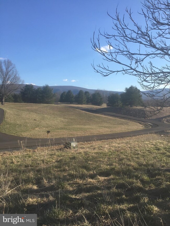 0 Evergreen Ct unit 1000320690, Bentonville, VA 22610 - photo 2