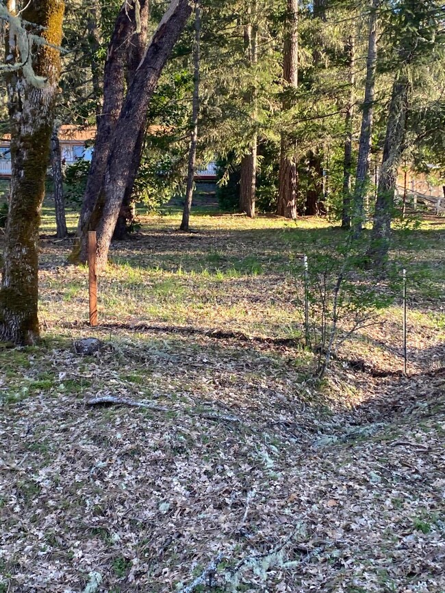 845 Hyde Park Rd, Grants Pass, OR 97527 - photo 6